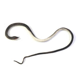 Rubber Snake