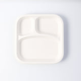 Dinner Plate