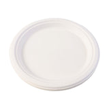 Dish Plate