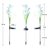 Solar Garden Flower Lights - (2Pc Set)
