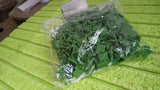 Plant Climbing Wall Fixture Clip Self-Adhesive Hook (Approx 200 Pcs Set)