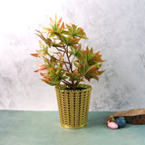 Luxury Golden Decorative Makeup Brush Holder Organizer (1 Pc)